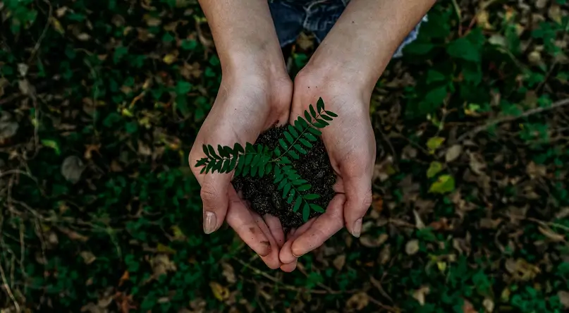 Triple Bottom Line: Profit, People, Planet integrated framework